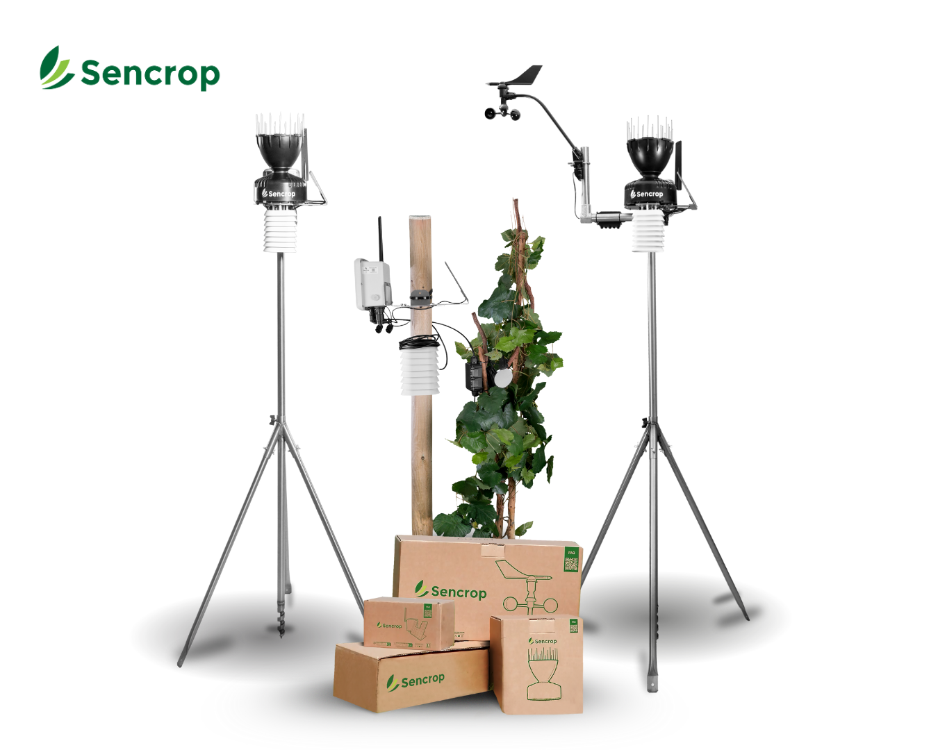 Guide: how to clean your connected weather station for clean data ?