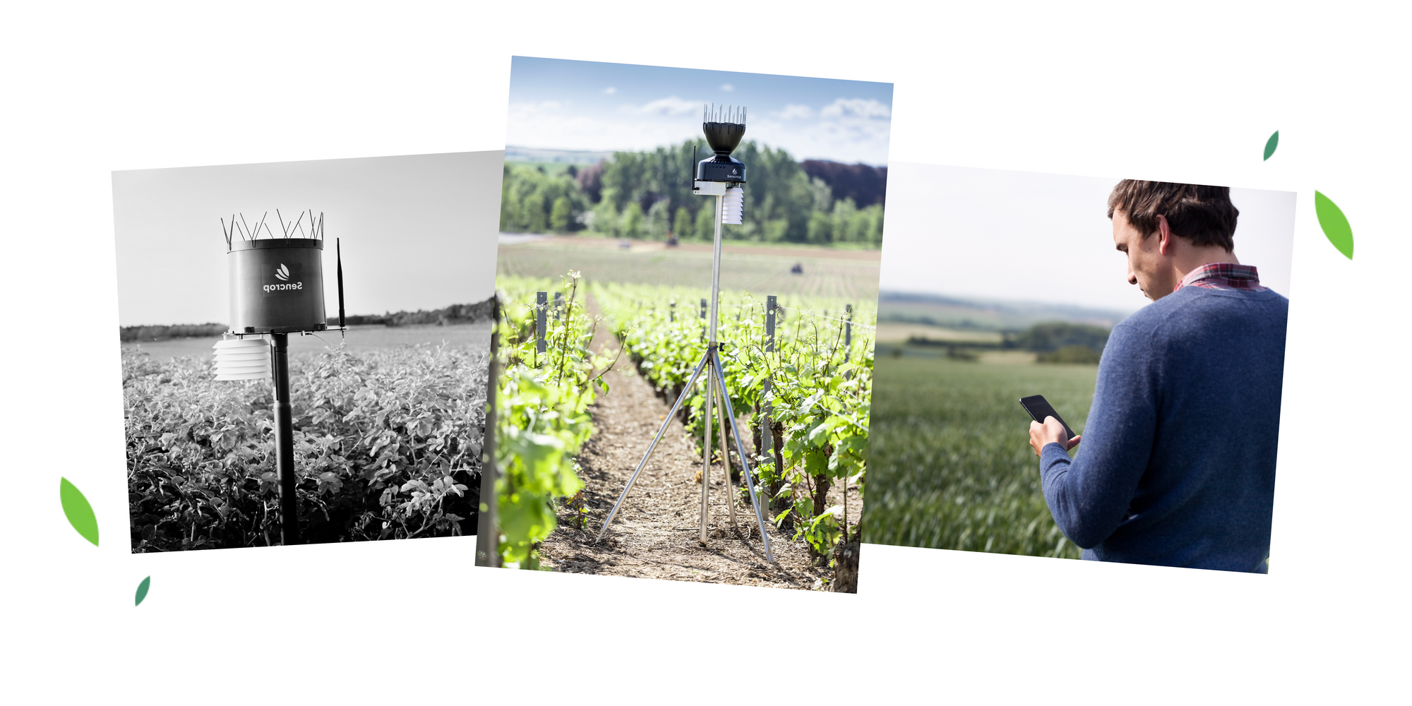 How do we guarantee the accuracy of Sencrop ag-weather stations?