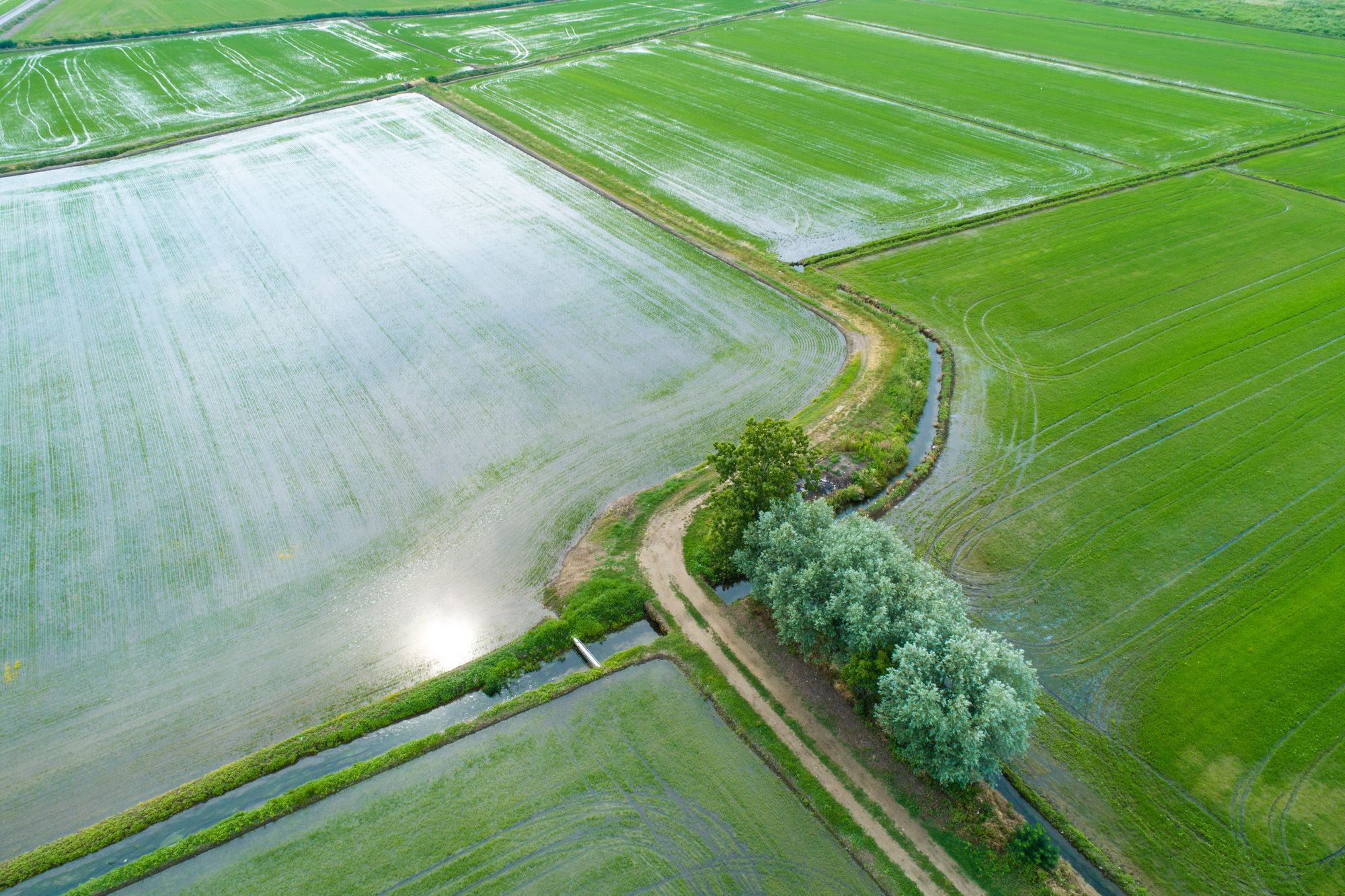 Heavy rainfall sweeps across the UK: Major flooding reported