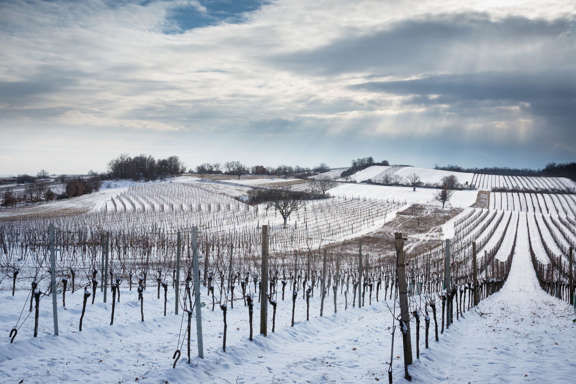 United Kingdom: driest winter for 30 years