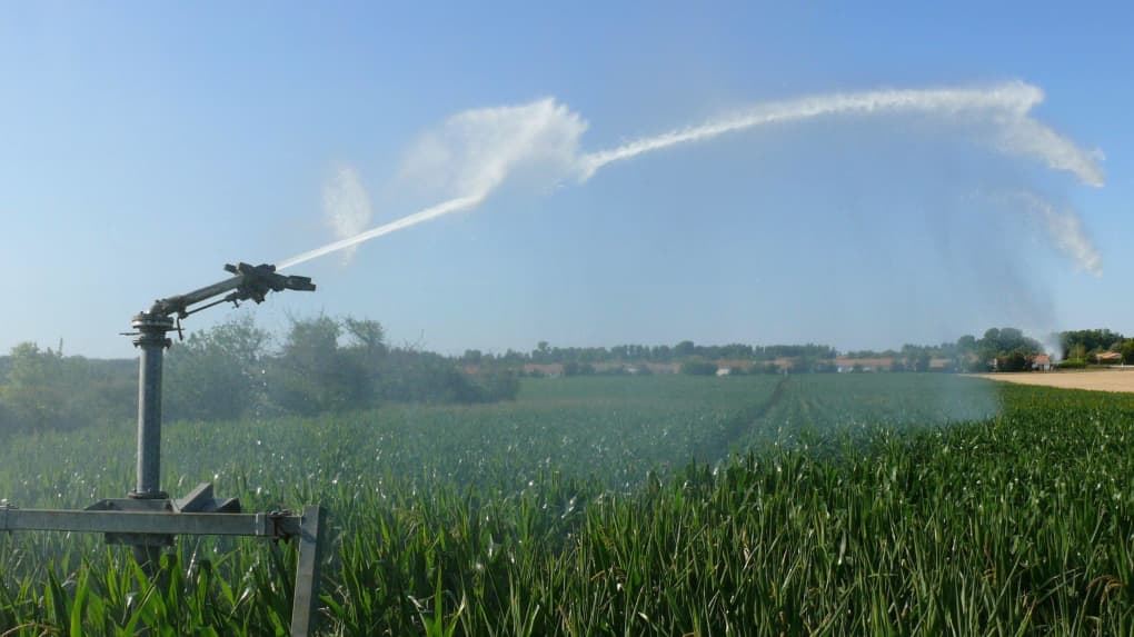 Choosing an irrigation system