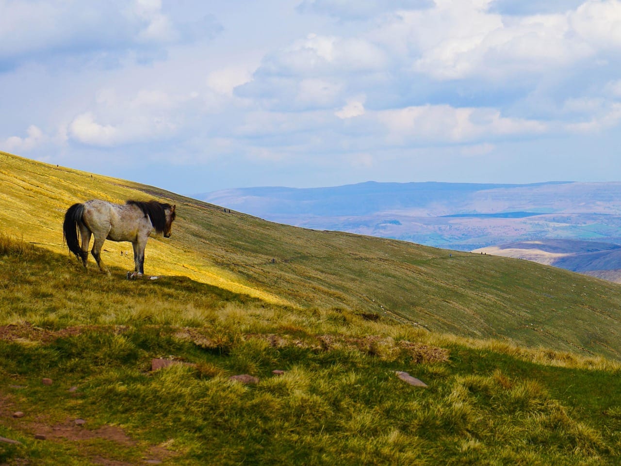 Seasonal forecasts: rain, temperature... what's the trend for spring 2025?