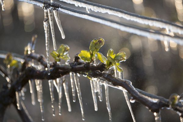 Temperature and humidity sensors: different measuring methods to combat frost
