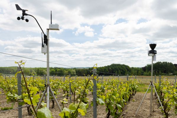 Where to place your connected weather station?