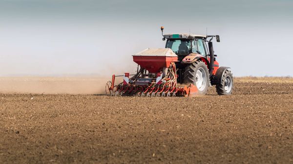 Successful winter cereal sowing with agricultural weather forecasts