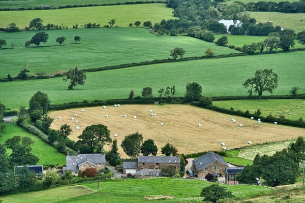 43% more sunshine than average and unseasonably mild temperatures... Spring 2025 sets records in the United Kingdom