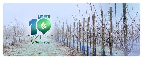 Spring frost: how to anticipate, decide and protect your crops?